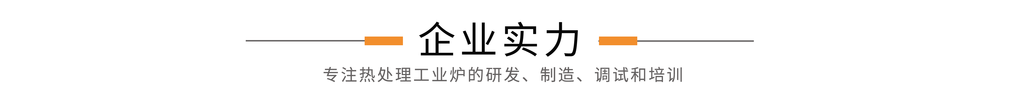 企業(yè)實力.png